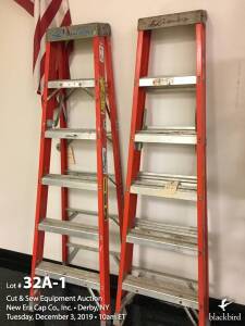 Lot (2) 6' Louisville Fiberglass Step Ladders