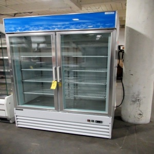 Economy Glass Door Freezer