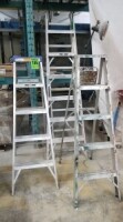 (3) Aluminum ladders 5' 6'