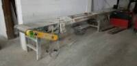 20' motorized conveyor with 20" carpet
