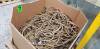 Lot of air hoses and tubing with valves and switches
