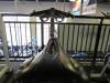 Pro Star Trac Spinning Bike - 4