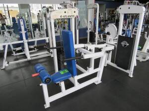 Weight Machine w/ plates, Triceps Seated dip Atlantis, Mod. T-163