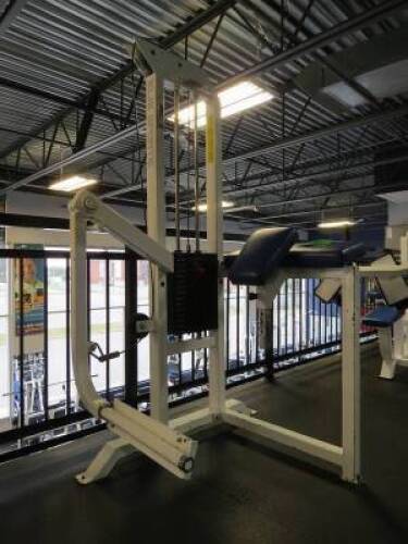 Weight Machine w/ Plates, Standing Back Kick Machine, Elie Sports #9