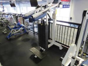 Weight Machine w/ Plates Calf Standing Atlantis #30, Mod. M118