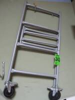 Scaffold