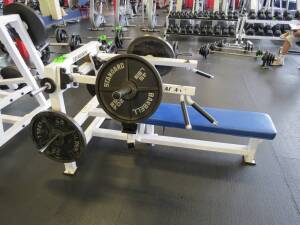 Atlantis Weight Machine w/free weights w/ Flat Bench Press Ser#19695 with (4) 45lb Iron Weights Olympia & Standard