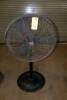 PEDESTAL FAN, 36"