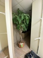 Faux arbre dans une jardini&egrave;re en c&eacute;ramique