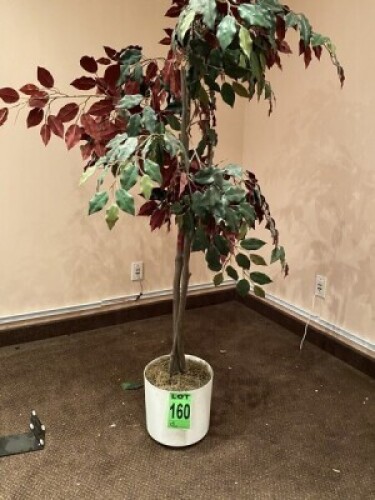Fausse plante et base