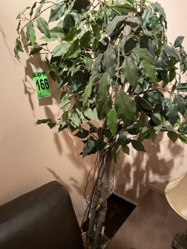 Fausse plante