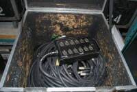 Lot 50' Stage Snake (1) 100' Stage Snake (2)