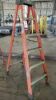 Werner 6' Fiberglass Ladder