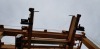 EDEN TECHNOLOGIES s.r.l 60T Straddle Carrier (2009) - 7