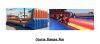 "Course Bungee Run" Jeux Gonflable Commercial