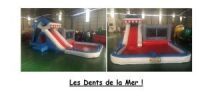  "Les Dents de la Mer" Jeux Gonflable Commercial