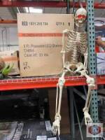 Skeleton