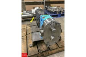 WCB Positive Displacement Pump, Model 130 with 5 HP, 1750 RPM Baldor Motor, 3" S/S Head, Mounted on S/S Base