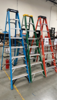 LOT (3) 8'FT FIBERGLASS LADDERS, and (2) 6'FT FIBERGLASS LADDERS