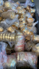 LOT ASSTD LAMPS AND FAN PARTS, (4 CRATES) - 9