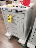 Waterloo 5-Drawer Medication Cart