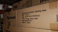 Egresel Electric Standing Desk #AE02-V