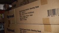 Egresel Electric Standing Desk #AE02-V