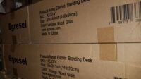 Egresel Electric Standing Desk #AE02-V