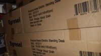 Egresel Electric Standing Desk #AE02-V