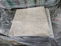 Porcelain Tile, 13" x 13" 34(13) (442 Pcs)