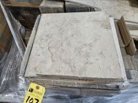Porcelain Tile, Pietra No, 13" x 13" 33(13) (429 Pcs)