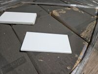 Ceramic Tile, Designer White, 3" x 6" (18 Bxs)