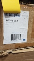 Assorted Lights (8 Each)