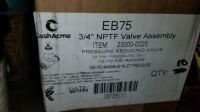 3/4" Pressure Reducing Value Type EB75 (10 Each)