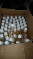 TS2 Fresh Scent Tearless Shampoo (96 Each)