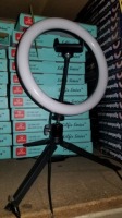 Globe LED Ring Light (11 Each)