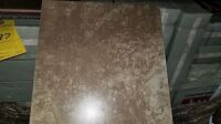 13" x 13" Ceramic Tile 21(10) (210 Pcs) (All items must be paid for & removed by Monday, September 18, 2023. NO EXCEPTIONS! PLEASE DO NOT PARTICIPATE IN THE SALE IF YOU CAN NOT PAY & PICK UP BY THE REMOVAL DATE.)