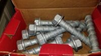 Assorted Hilti Lag Bolts (Boxes) Items must be paid for & removed by 4:00 PM on Friday, October 6, 2023. No Exceptions!