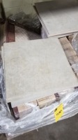13" x 13" Ceramic Tile 17 (12) (Pieces)