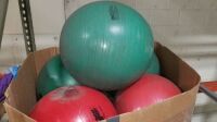 Assorted Exercise Balls (Each)