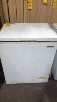 Thomson R In Freezer 28" (Used)