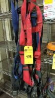 Asst Harness