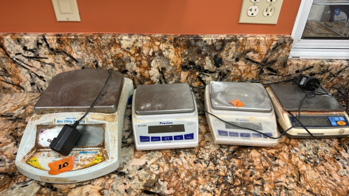 LOT (4) ASST&rsquo;D BALANCE