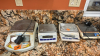 LOT (4) ASST&rsquo;D BALANCE