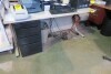 Desk Only - No Computers Etc // Bureau uniquement - pas d'ordinateurs, etc.