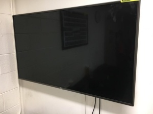 48" LG television with wall mount