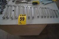 (16) Wrenches Various Sizes 3-8in to 19mm