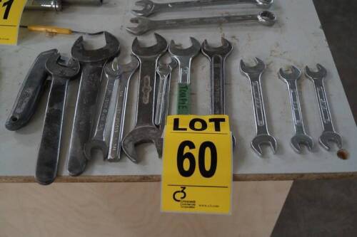 (12) Wrenches various sizes
