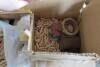 Lot de morceaux de bois assortis// Lot of assorted wooden pieces - 3