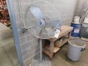 Tpi 30" Pedestal Fan